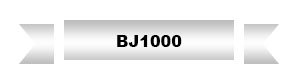 Coupon Code BJ1000
